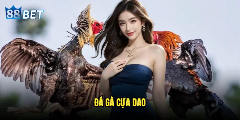 đá gà cựa dao