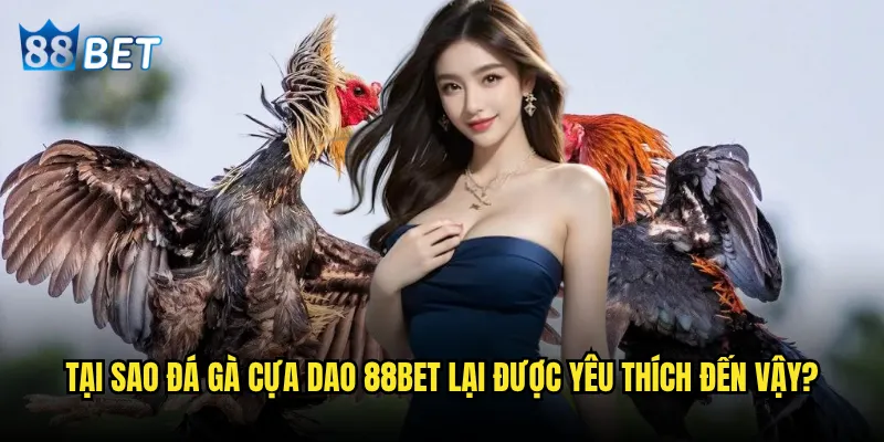 Đá gà cựa dao có thực sự nguy hiểm như mọi người nghĩ tại 88bet? 3 Tại sao đá gà cựa dao 88bet lại được yêu thích đến vậy?