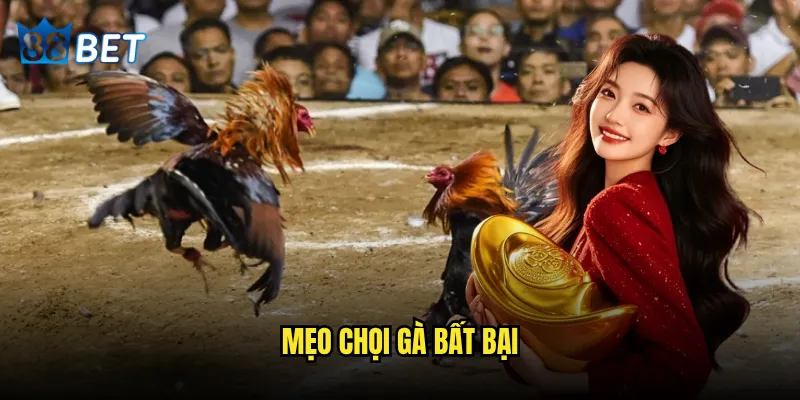 Mẹo chọi gà bất bại