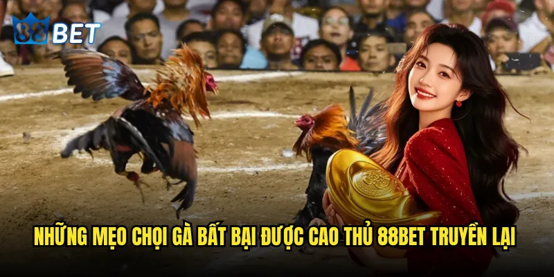 Mẹo chọi gà bất bại có thật sự tồn tại hay chỉ là huyền thoại tại 88bet? 2 Những mẹo chọi gà bất bại được cao thủ 88bet truyền lại