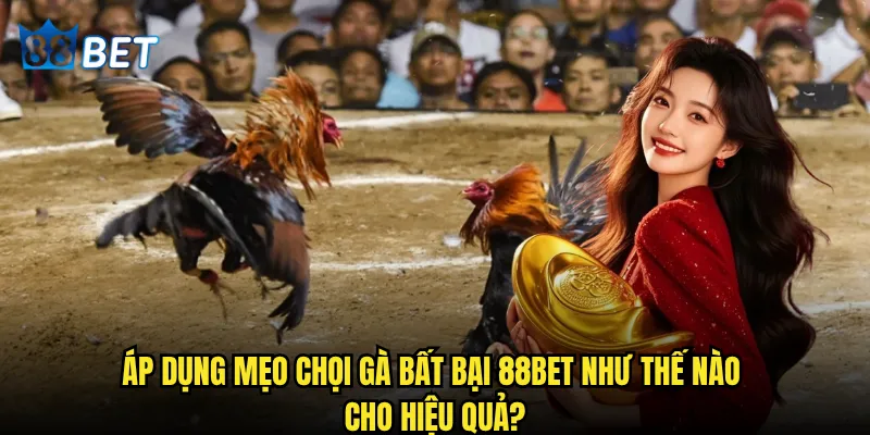 Mẹo chọi gà bất bại có thật sự tồn tại hay chỉ là huyền thoại tại 88bet? 3 Áp dụng mẹo chọi gà bất bại 88bet như thế nào cho hiệu quả?