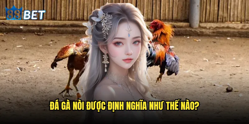 Đá gà nòi có phải là loại gà mạnh nhất trong làng chọi gà 88bet? 2 Đá gà nòi được định nghĩa như thế nào?