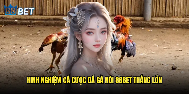 Đá gà nòi có phải là loại gà mạnh nhất trong làng chọi gà 88bet? 3 Kinh nghiệm cá cược đá gà nòi 88bet thắng lớn