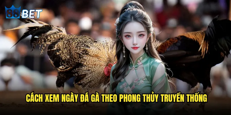 Cách xem ngày đá gà có thể quyết định thắng thua tại 88bet không? 2 Cách xem ngày đá gà theo phong thủy truyền thống