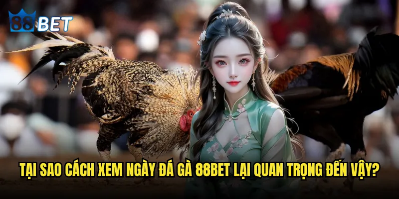 Cách xem ngày đá gà có thể quyết định thắng thua tại 88bet không? 3 Tại sao cách xem ngày đá gà 88bet lại quan trọng đến vậy?