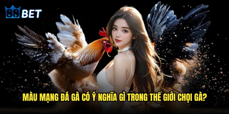 Màu mạng đá gà là gì và tại sao 88bet được tin tùng nhất? 2 Màu mạng đá gà có ý nghĩa gì trong thế giới chọi gà?