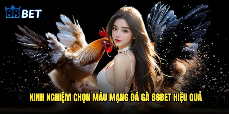 Màu mạng đá gà là gì và tại sao 88bet được tin tùng nhất? 3 Kinh nghiệm chọn màu mạng đá gà 88bet hiệu quả