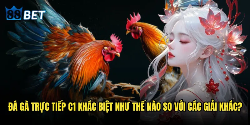 Đá gà trực tiếp C1 có gì đặc biệt mà 88bet thu hút hàng triệu người xem? 2 Đá gà trực tiếp C1 khác biệt như thế nào so với các giải khác?