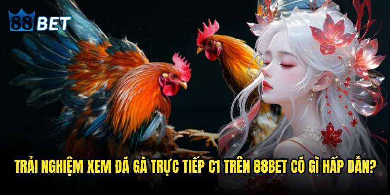 Đá gà trực tiếp C1 có gì đặc biệt mà 88bet thu hút hàng triệu người xem? 3 Trải nghiệm xem đá gà trực tiếp C1 trên 88bet có gì hấp dẫn?